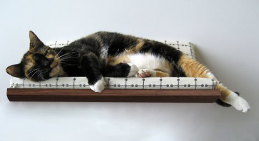 the-curve-pet-bed