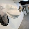 sebastien_preschoux_02