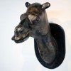 tanc_01