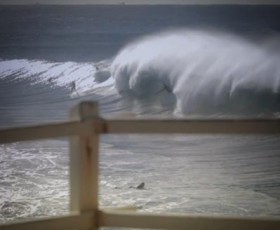 Pure Bronte Pure Bronte