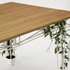 plantable_01