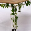 plantable_02