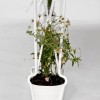 plantable_03