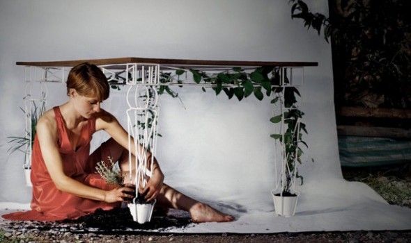 plantable_04