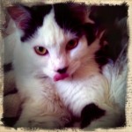 Profile picture of titine
