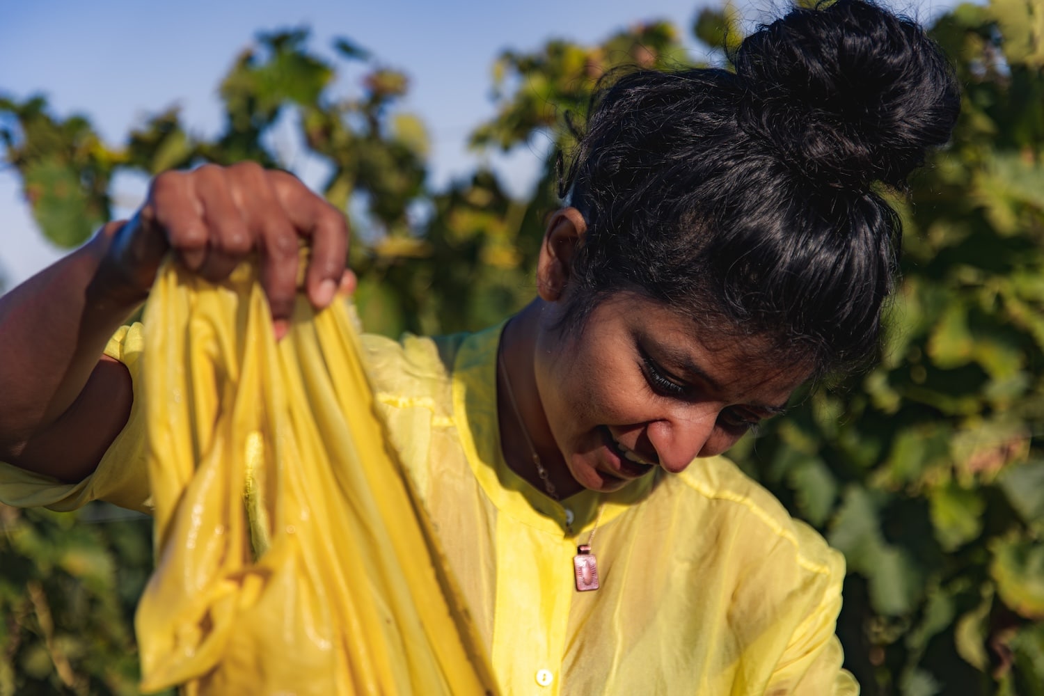 Teintures naturelles au cœur du cognac, un dialogue entre la terre, l’artisanat et le temps. Teintures naturelles au cœur du cognac, un dialogue entre la terre, l’artisanat et le temps.