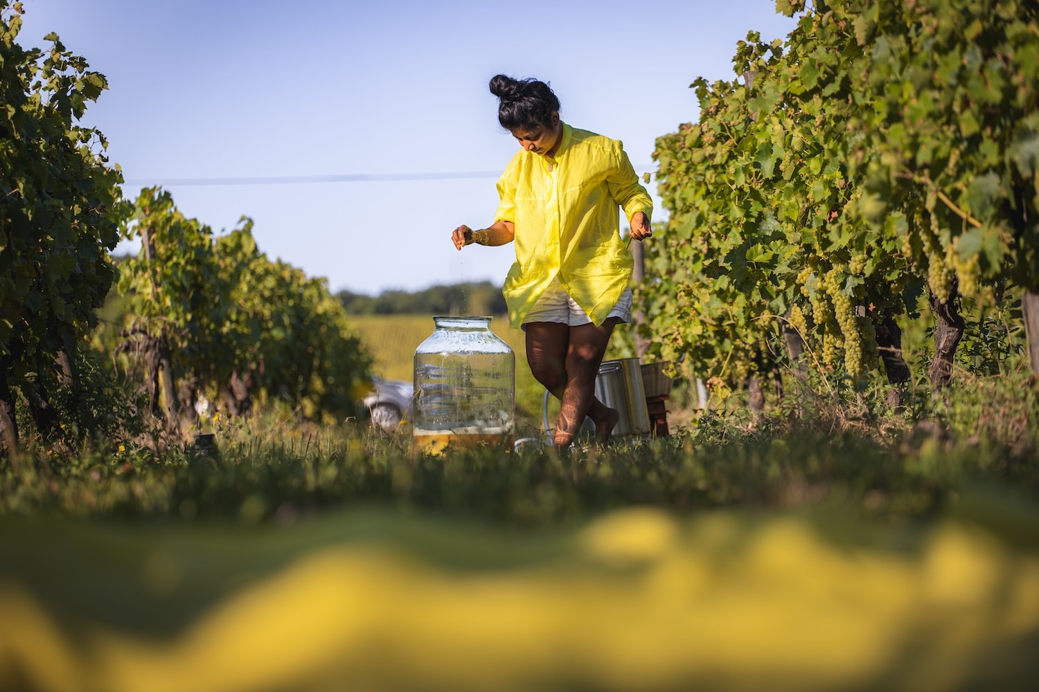 Teintures naturelles au cœur du cognac, un dialogue entre la terre, l’artisanat et le temps. Teintures naturelles au cœur du cognac, un dialogue entre la terre, l’artisanat et le temps.
