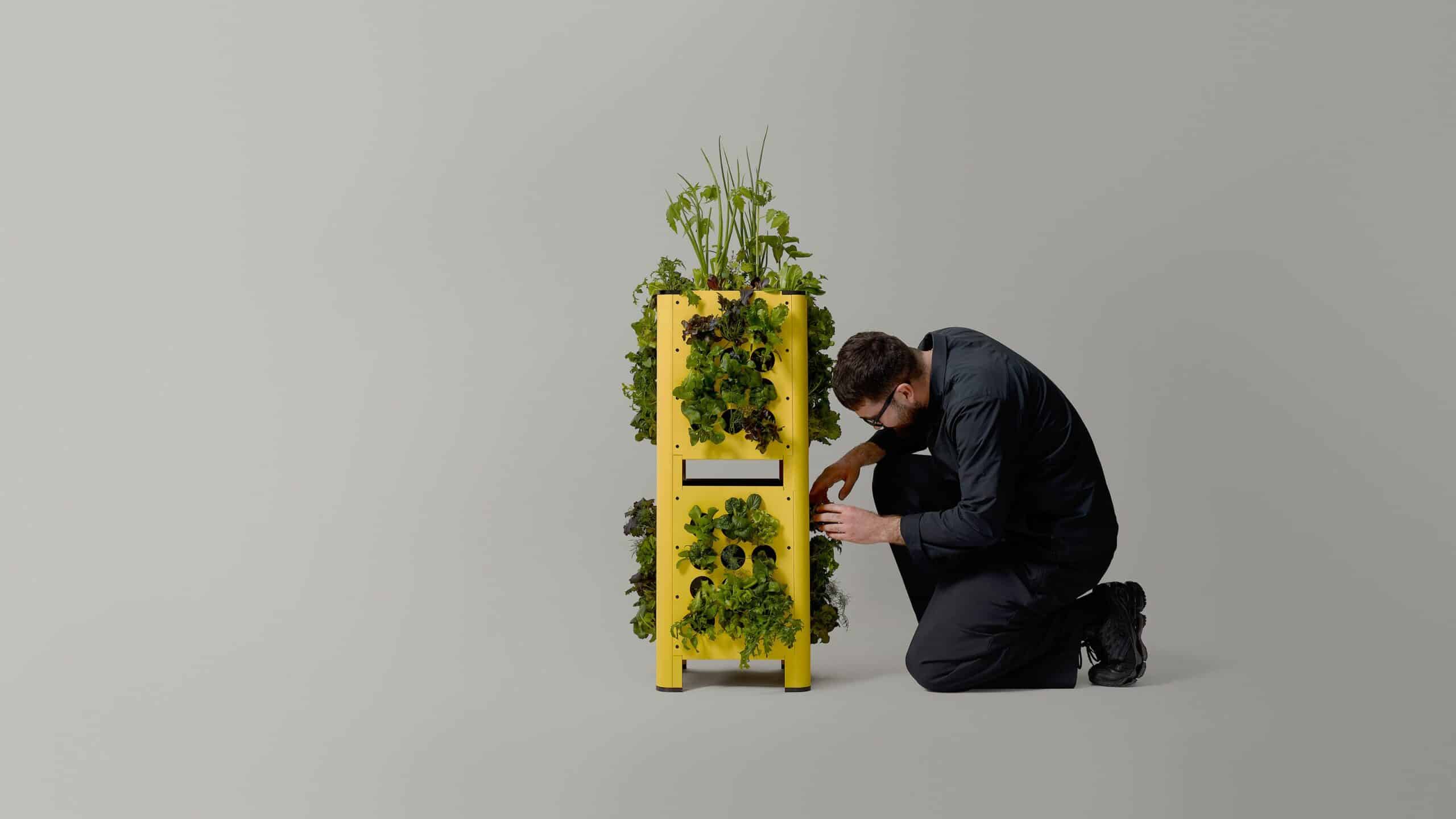 HomeFarm : une jardinière verticale modulable pensée pour la vie urbaine