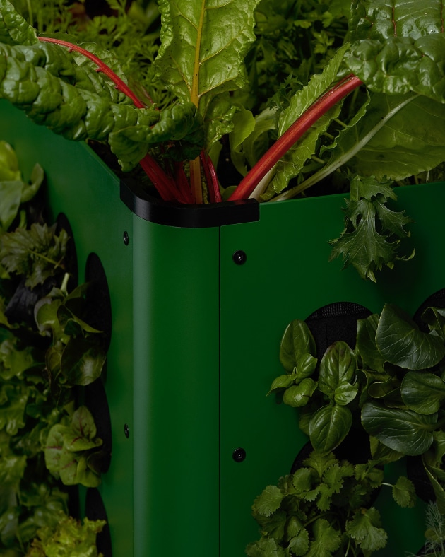 HomeFarm : une jardinière verticale modulable pensée pour la vie urbaine