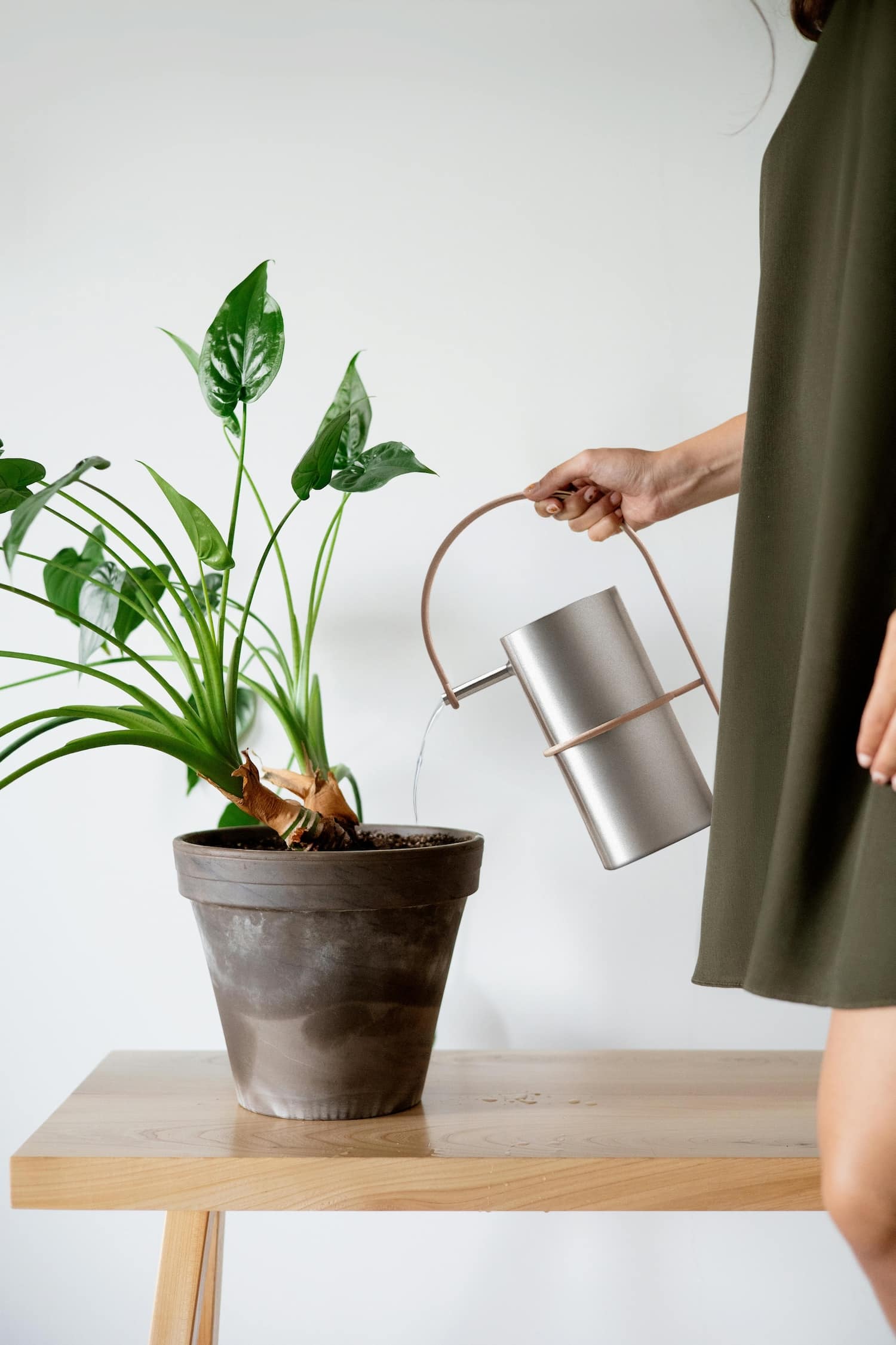 1er prix du jury CINNA - Projet Aurore, l’arrosoir qui cultive l’élégance au quotidien 1er prix du jury CINNA - Projet Aurore, l’arrosoir qui cultive l’élégance au quotidien