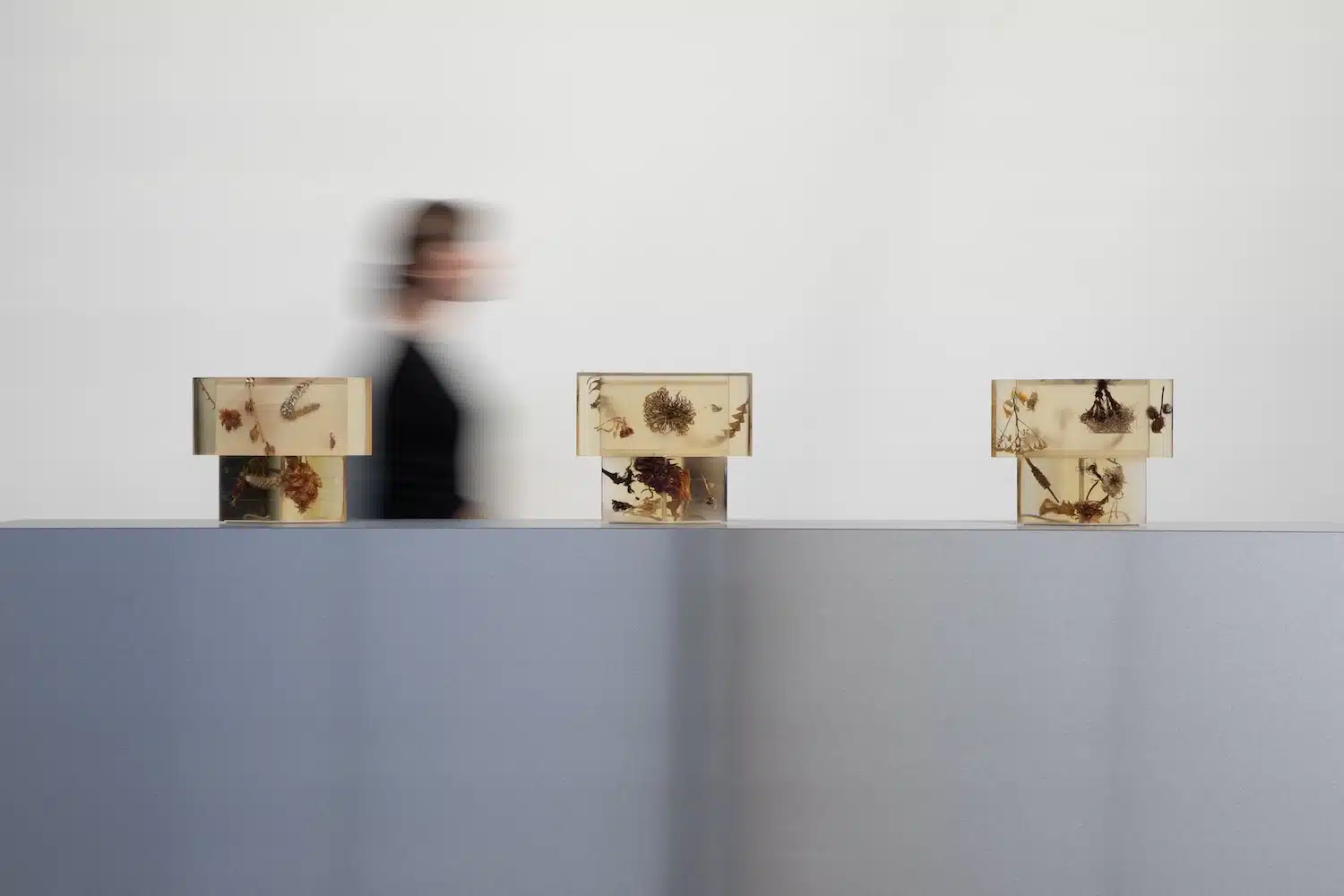 Flora Lamp II par Marcin Rusak : la fleur figée dans la lumière