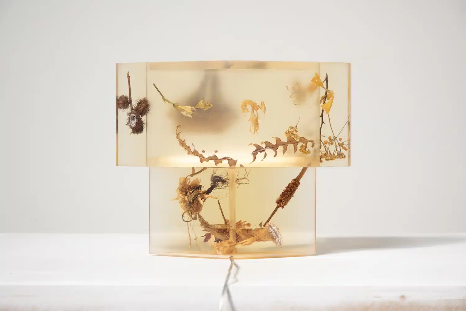 Flora Lamp II par Marcin Rusak : la fleur figée dans la lumière