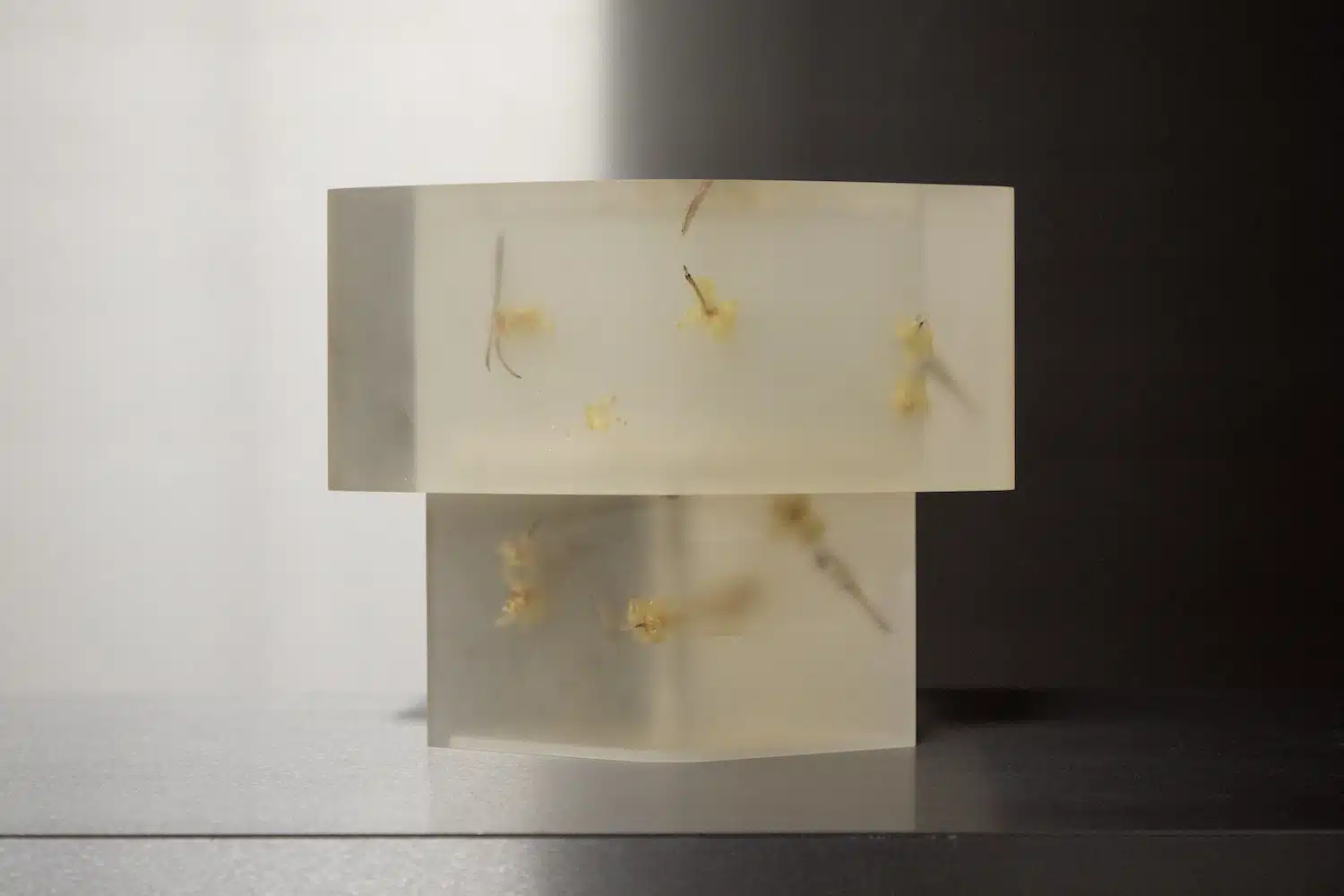 Flora Lamp II par Marcin Rusak : la fleur figée dans la lumière