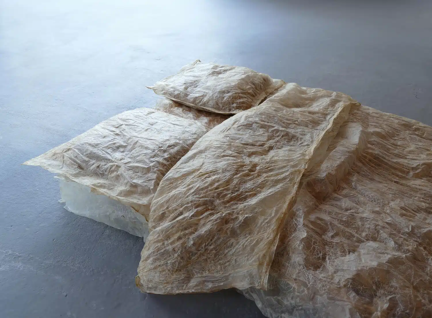 Thibault Philip : les matériaux biologiques comme territoire de design