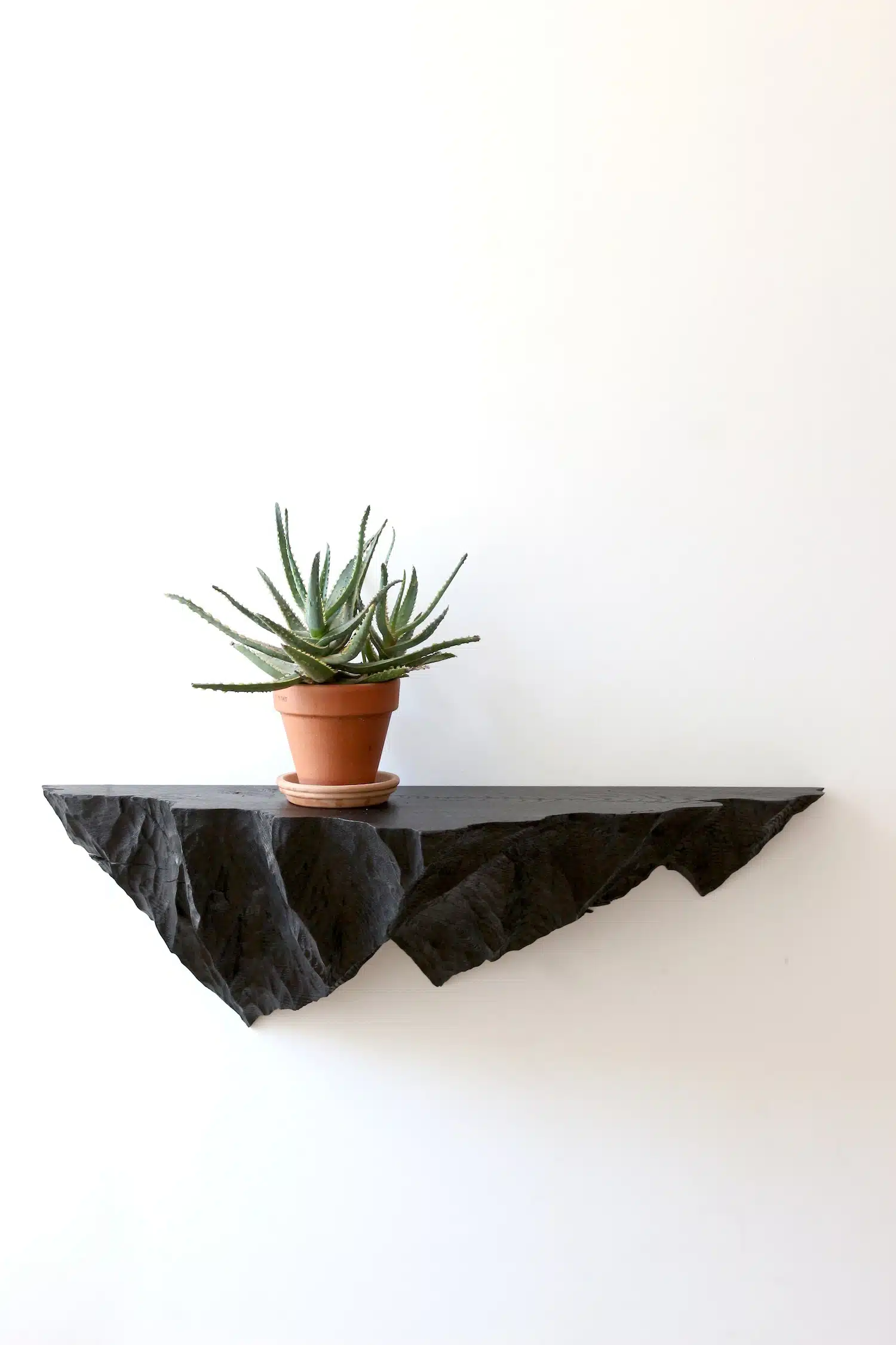 L’art du paysage domestique : comment Ben&Manu transforme le bois en topographie sculptée