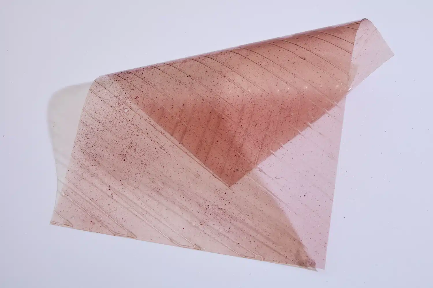 Byssus : quand les déchets mytilicoles deviennent biomatériaux lumineux chez hors-studio