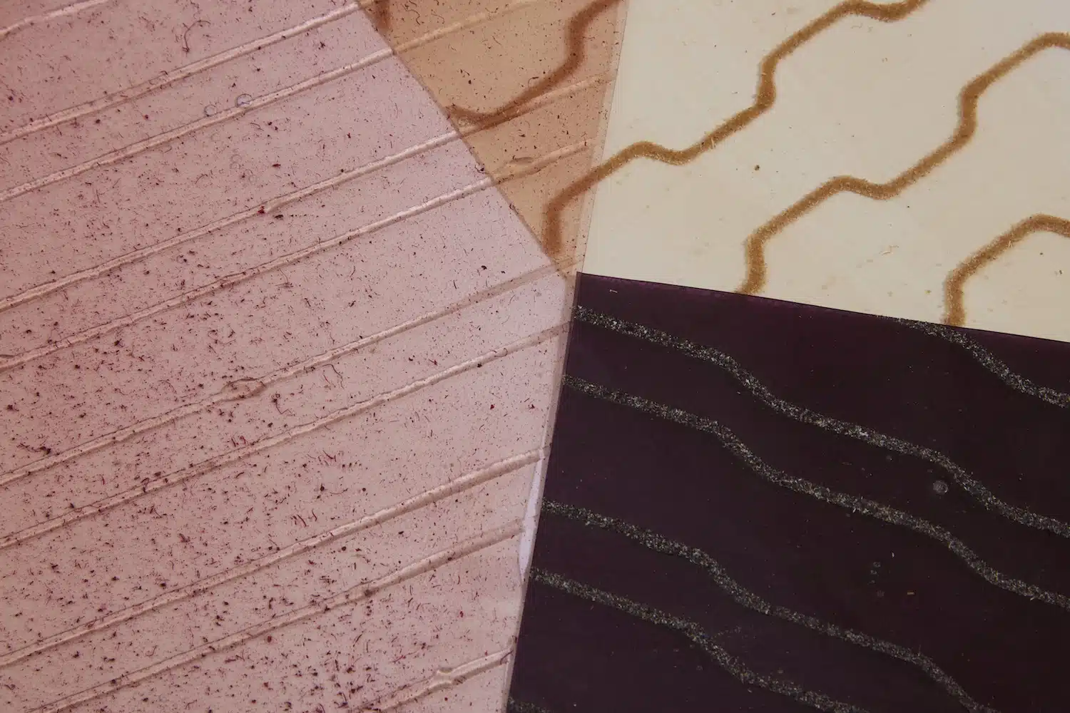 Byssus : quand les déchets mytilicoles deviennent biomatériaux lumineux chez hors-studio