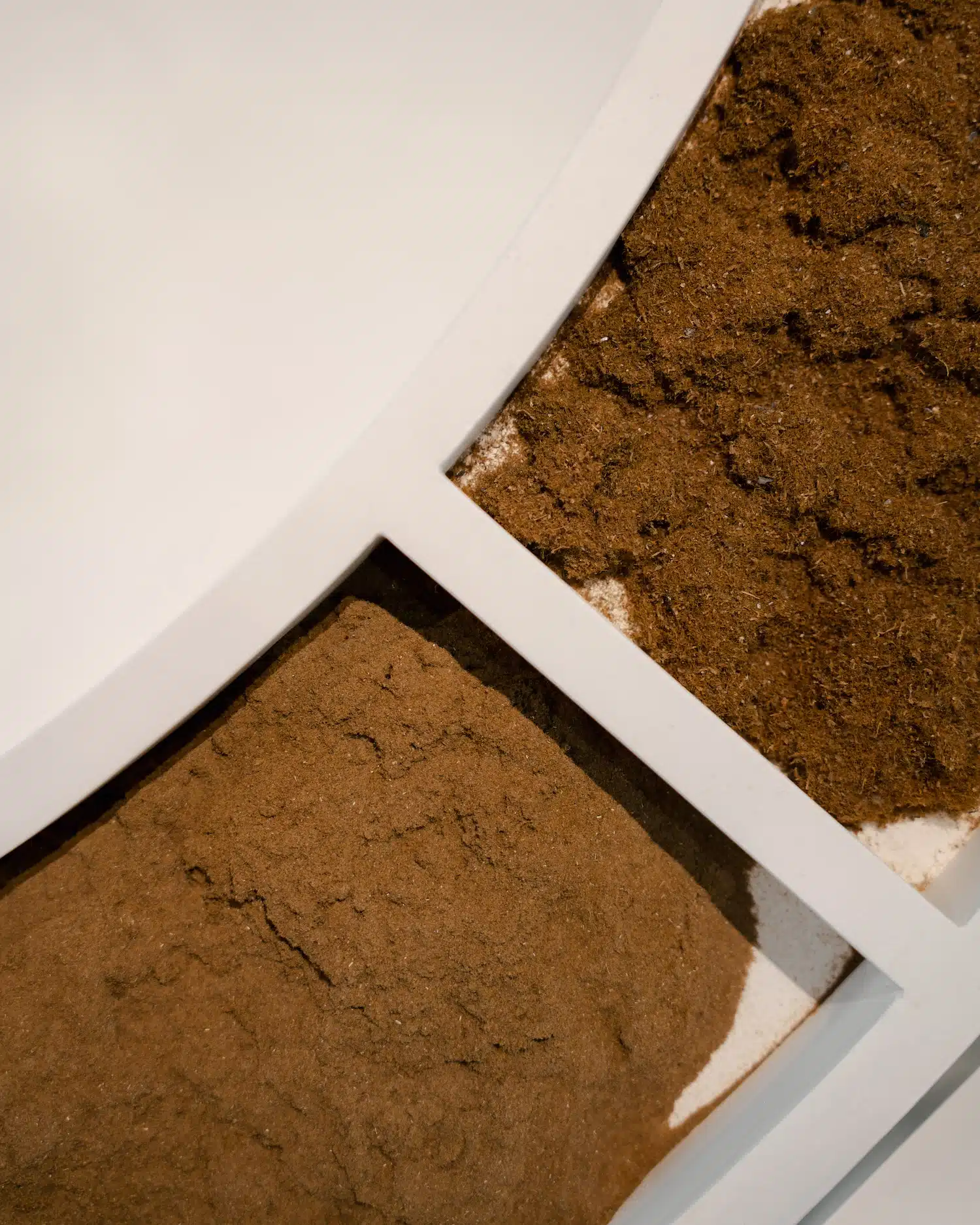 Byssus : quand les déchets mytilicoles deviennent biomatériaux lumineux chez hors-studio