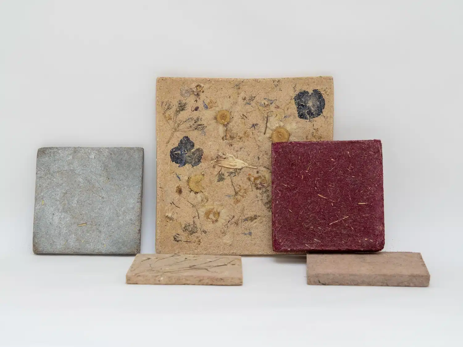 Anne Ländle transforme la biomasse sauvage de Stockholm en cabinet d'herbier