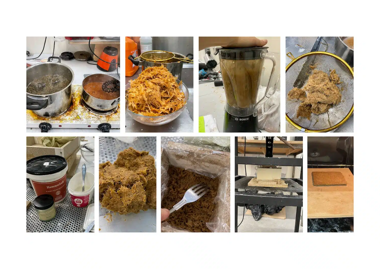 Anne Ländle transforme la biomasse sauvage de Stockholm en cabinet d'herbier