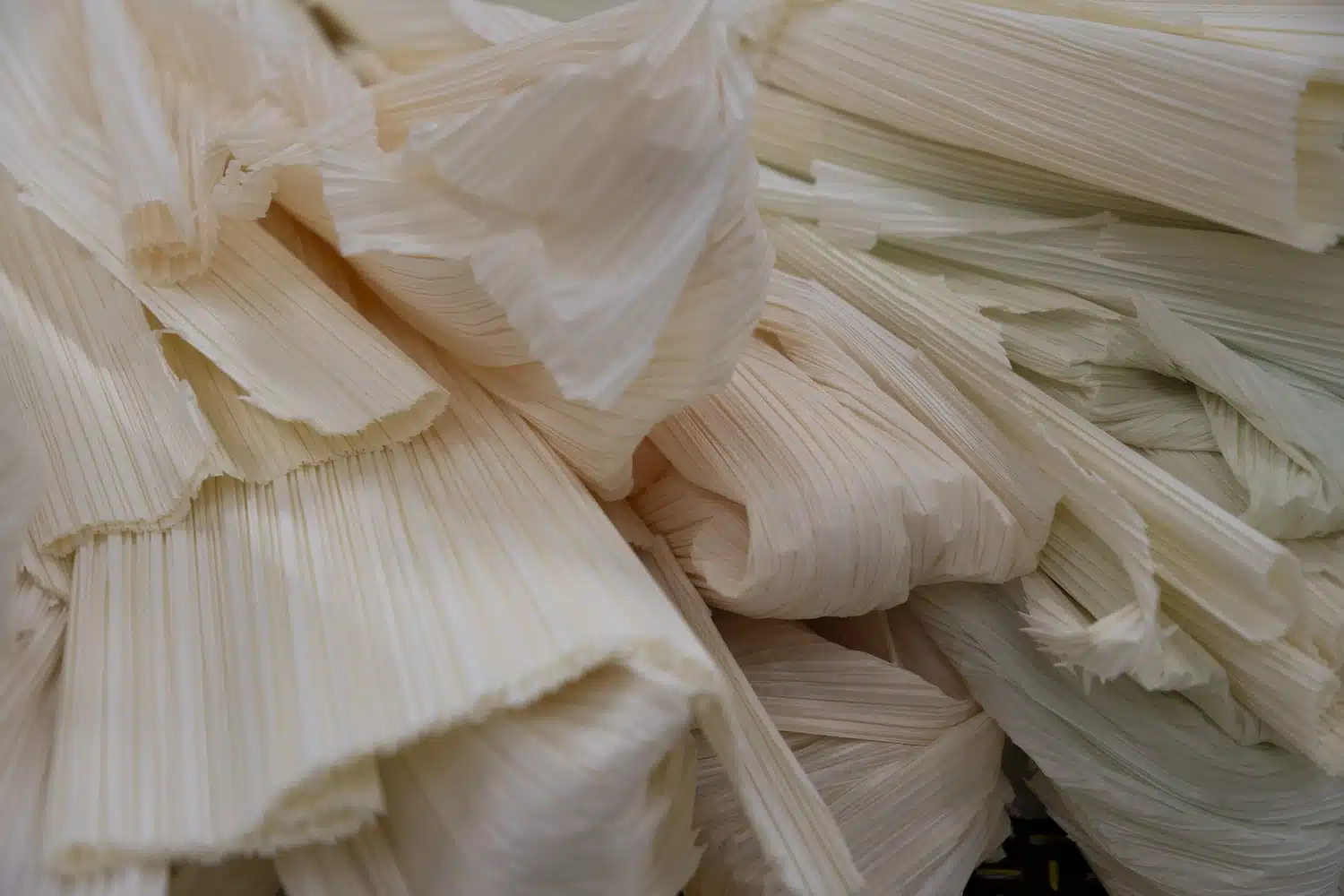 Milan : The Paper Log, Shell and Core, l'installation d'Issey Miyake qui fait du déchet une matière première