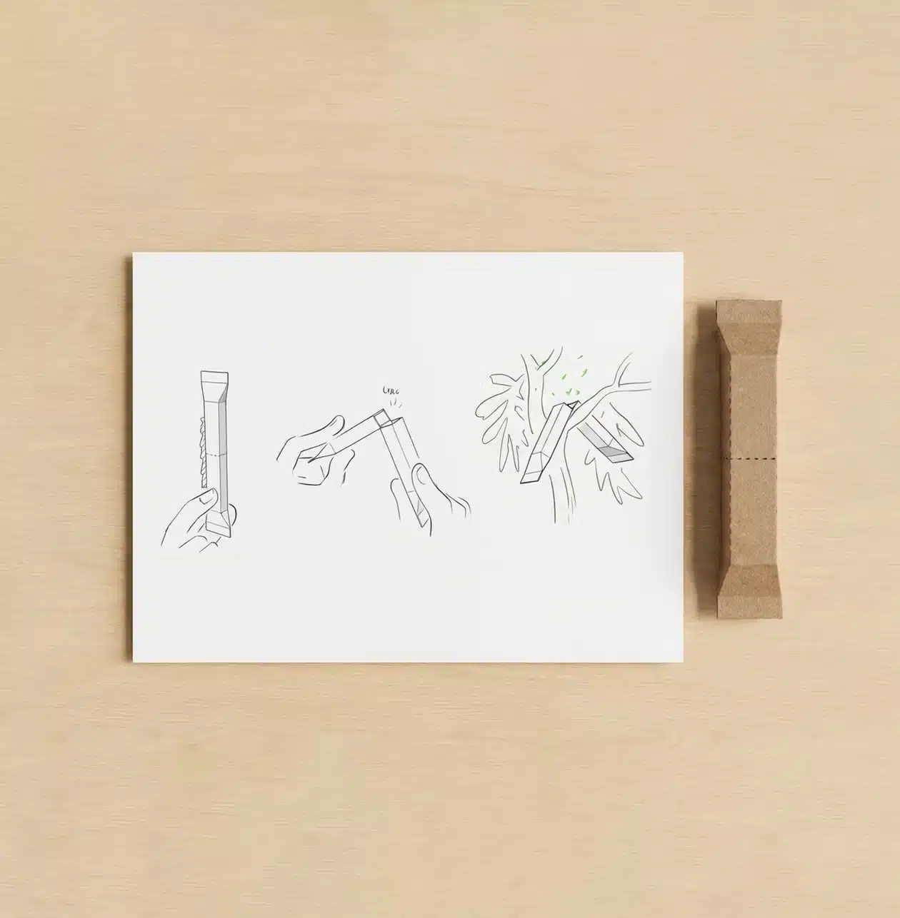 Entreautre signe BIOLINE : quand le packaging devient outil de travail au cœur des serres Entreautre signe BIOLINE : quand le packaging devient outil de travail au cœur des serres