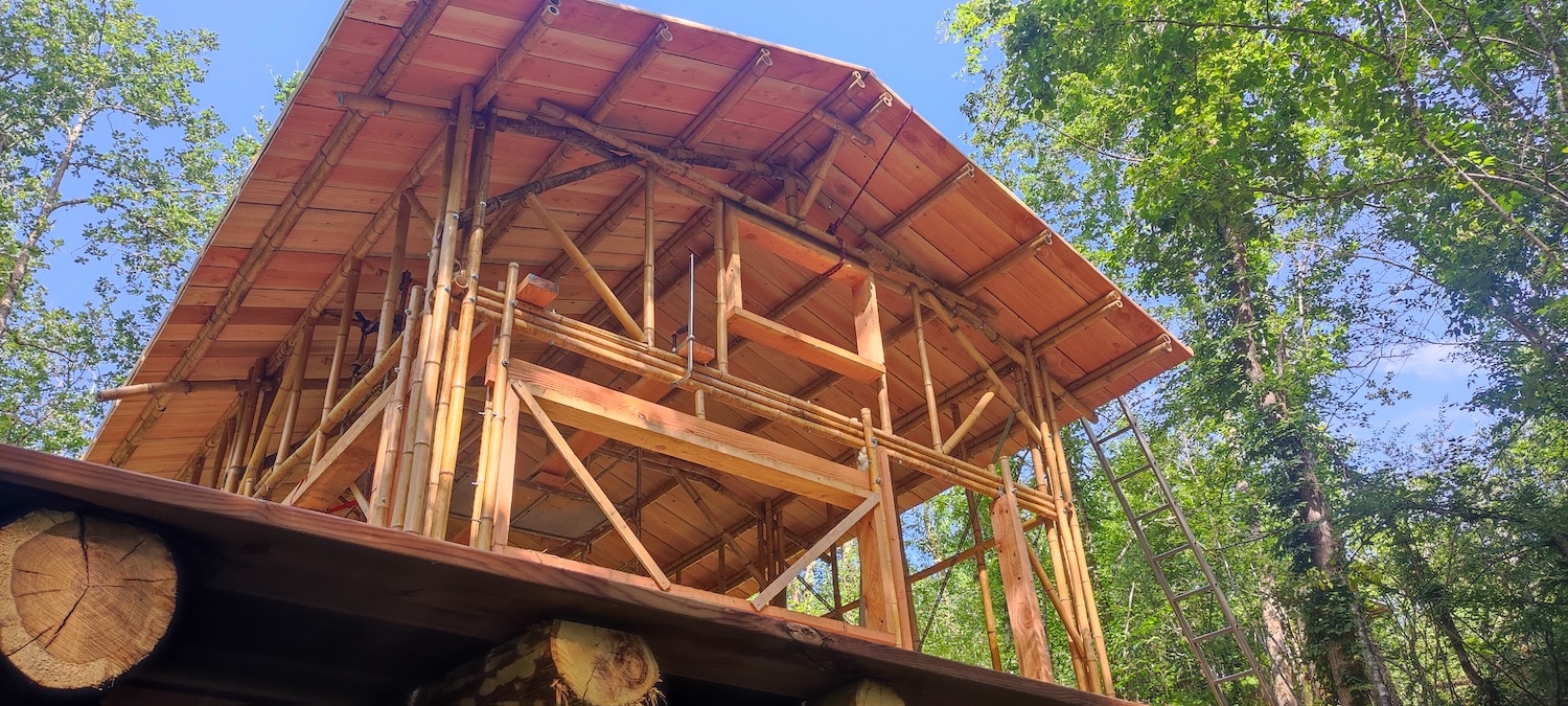 Habiter le bambou : une expérimentation grandeur nature