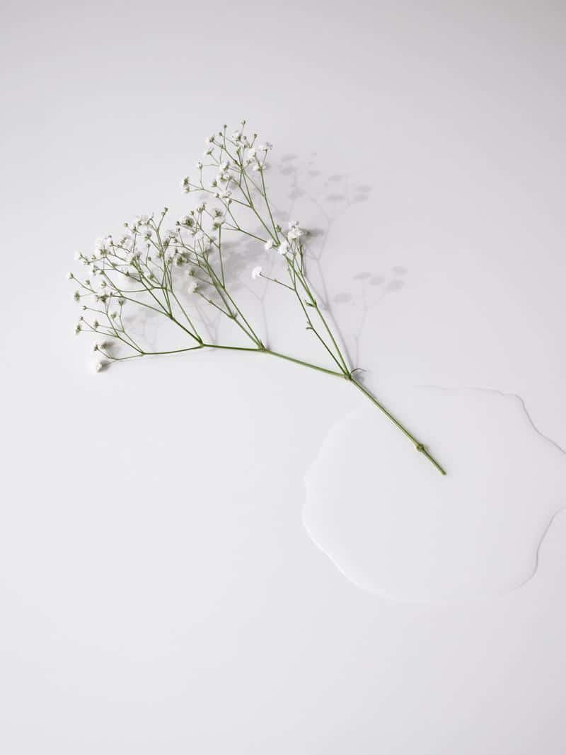 Un ingénieur mécanique, un vase, et rien autour : Fountain par le studio jido