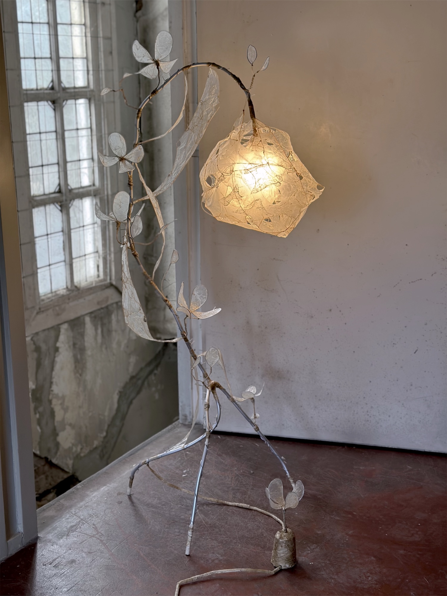Fleur première : Thibault Philip fait fleurir des boyaux sur une structure en aluminium Fleur première : Thibault Philip fait fleurir des boyaux sur une structure en aluminium